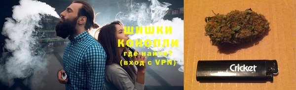 хмурый Арсеньев