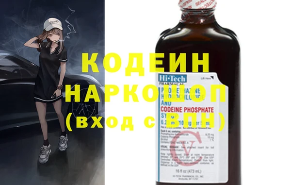 индика Алзамай