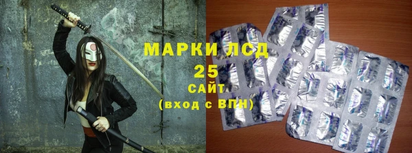 индика Алзамай